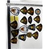 Image 2 : 16 Police Badges.