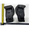 Image 1 : Everlast Boxing Gloves.