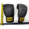 Image 2 : Everlast Boxing Gloves.