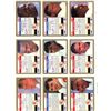 Image 1 : Lot of 9 Tampa Bay Buccaneers NFL cards. Mint.
