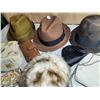 Image 2 : Hats & Purses, Wallets