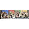 Image 1 : little house on the prairie season 1-4 all discs