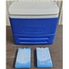 Image 1 : blue thermos cooler w/ 2 ice packs