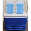 Image 2 : blue thermos cooler w/ 2 ice packs
