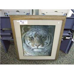 Tiger Portrait  Print By  robert Bateman 