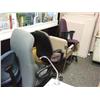 Image 2 : 7 Office Chairs