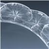 Image 4 : Lalique Crystal Honfleur Plate