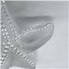 Image 4 : Lalique Crystal Starfish Paperweight