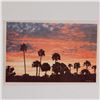 Image 2 : Hal Kaye, Original Florida Sunset Photograph on Paper Signed