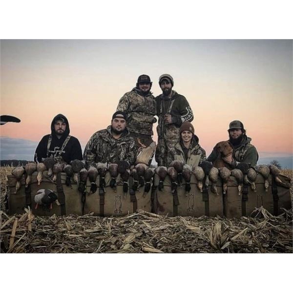 Michigan - 1 Day - Waterfowl Hunt for Four Hunters