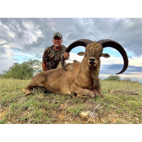 Texas – 3 Day – Aoudad Hunt for Two Hunters
