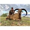 Image 1 : Texas – 3 Day – Aoudad Hunt for Two Hunters