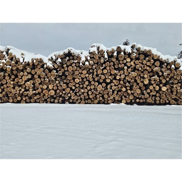 Michigan - Ten Pulp Cord of Firewood