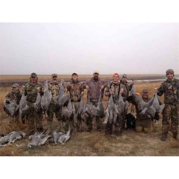 Texas – 3 Day/3Night - Sandhill Crane & Geese Hunt for Two Hunters