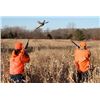 Image 1 : Michigan - 1 Day - Pheasant Hunt for One Hunter