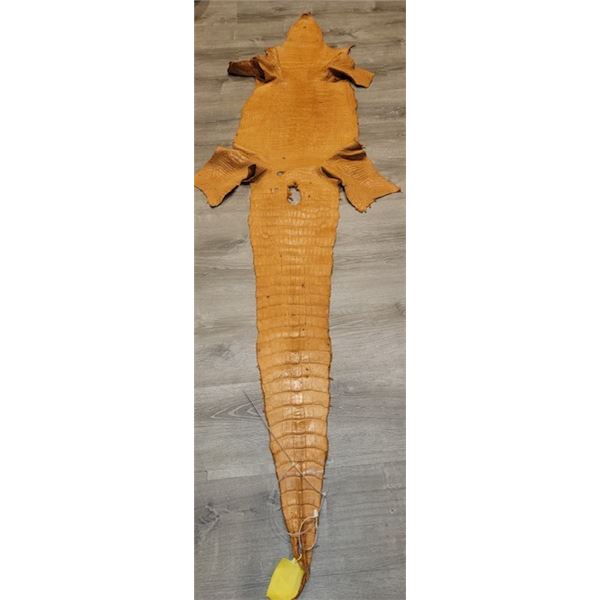 *Louisana Alligator Hide