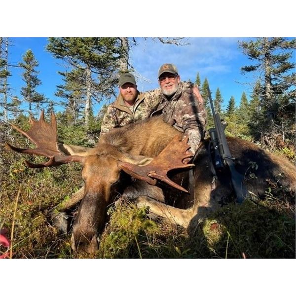 Newfoundland – 5 Day – Eastern Canada Moose and Black Bear Hunt for One Hunter