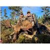 Image 1 : Newfoundland – 5 Day – Eastern Canada Moose and Black Bear Hunt for One Hunter