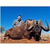 Image 1 : *South Africa – 7 Day –  Bushbuck or Blue Wildebeest Hunt for Two Hunters