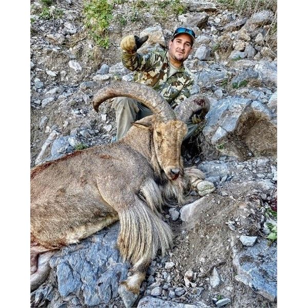 *Mexico – Aoudad Hunt for Two Hunters