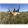 Image 3 : Wyoming – 3 Day- Antelope Hunt for Two Hunters