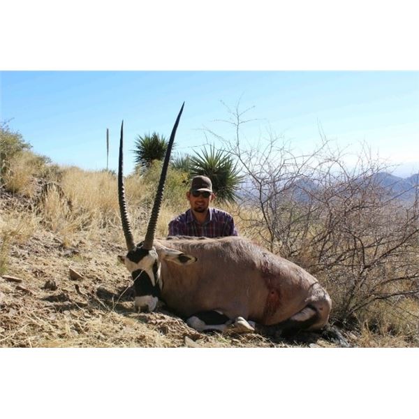 New Mexico – 4 Day – Oryx Hunt for One Hunter