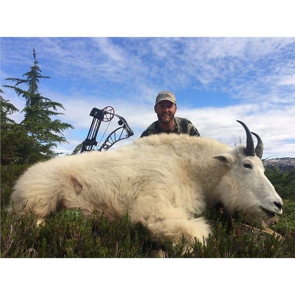 British Columbia – 10 Day – Mt. Goat Hunt for One Hunter