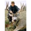 Image 1 : *Alberta – 7 Day – Mule Deer Hunt for One Hunter
