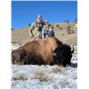 Image 1 : Colorado -2 Day – Free Range Bison Hunt for One Hunter