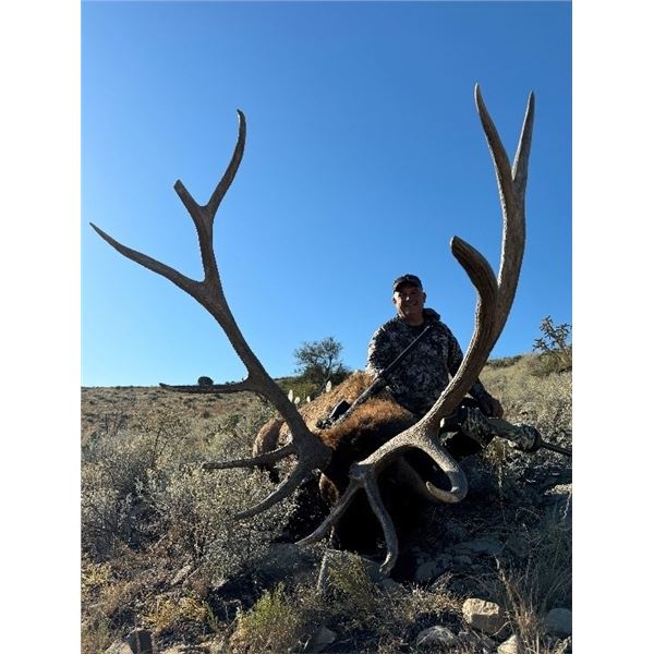 New Mexico – 5 Day – Rifle Elk Hunt for One Hunter