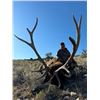 Image 1 : New Mexico – 5 Day – Rifle Elk Hunt for One Hunter