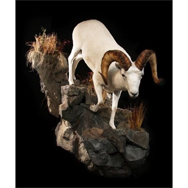 *Michigan - $3,500 Taxidermy Certificate