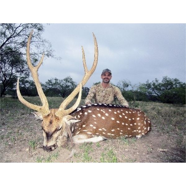 Texas – 2.5 Day – Axis Deer Hunt for One Hunter