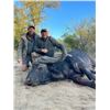 Image 1 : *South Africa - 8 Day – Cape Buffalo Hunt for One Hunter