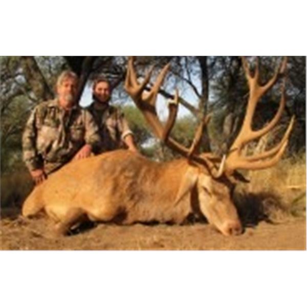 *Argentina – 5 Day – Red Stag for Four to Six Hunters