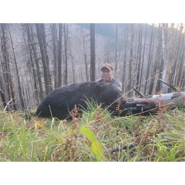 *Alberta – 6 Day – Black Bear Hunt for One Hunter with 2025 Hero Hunter