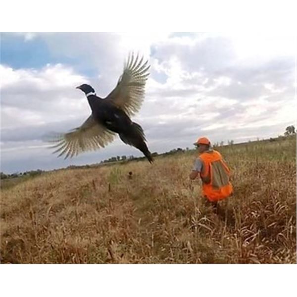 *Iowa - 2 Day Upland Bird Hunt for Two Hunters