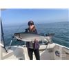 Image 1 : *Illinois - 2 Day - Fishing Charter and Chicago Tour Adventure for Three People