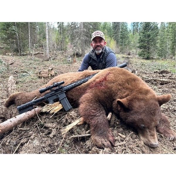 Idaho - 5 day - Black Bear Hunt for One Hunter