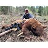 Image 1 : Idaho - 5 day - Black Bear Hunt for One Hunter