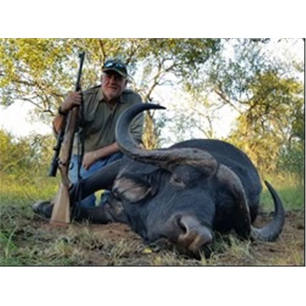 South Africa – 7 Day – Cape Buffalo Hunt for One Hunter
