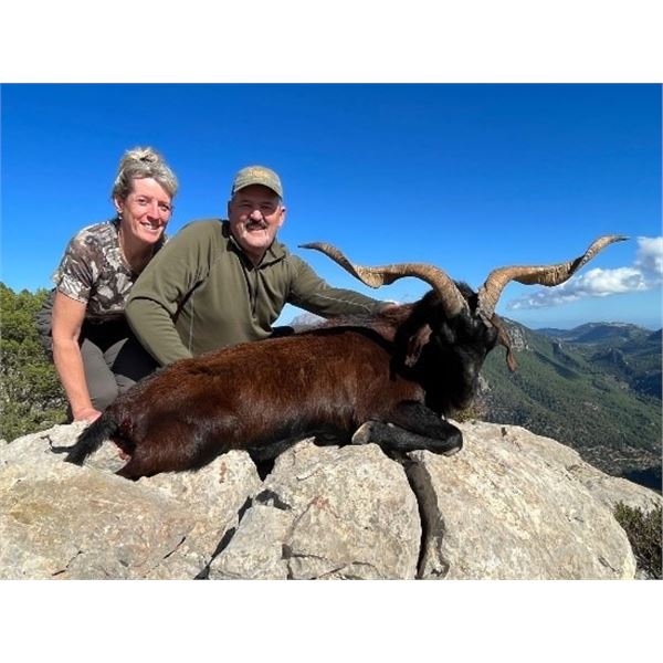 Spain – 4 day/ 3 Night Balearian Boc Hunt for One Hunter