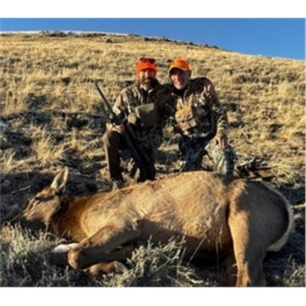 Wyoming - 5 day - Cow Elk Hunt for One Hunter