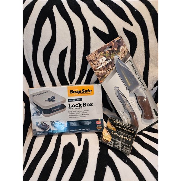 Pistol Safe and 100 rounds 9mm ammo