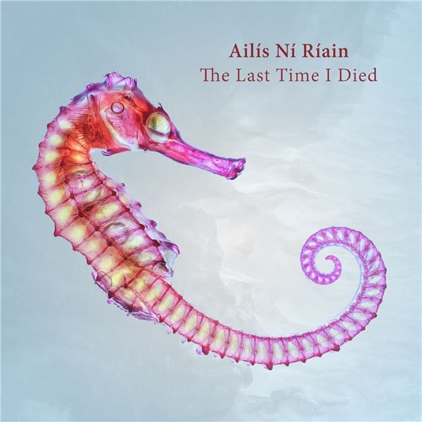 NEW CD-AILIS NI RIAIN THE LAST TIME I DIED