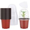 Image 1 : NEW MIXC PLANT NURSEY POTS WITH HUMIDITY DOME 4"