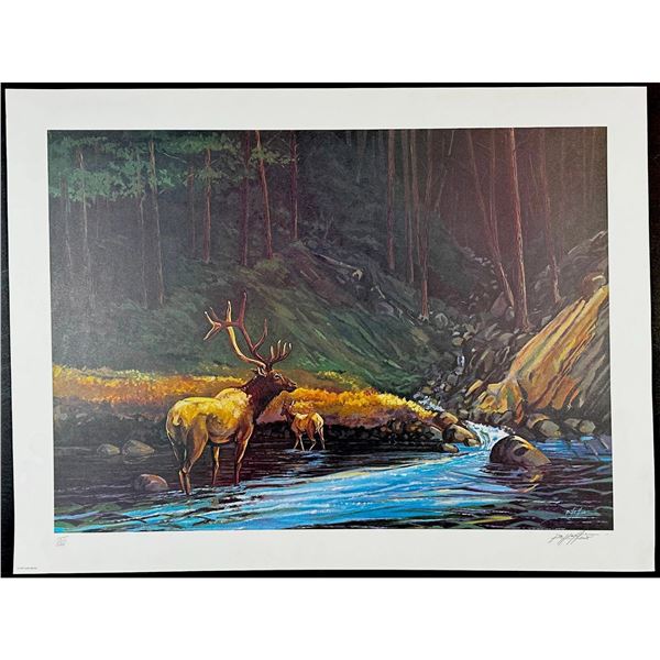 Bill Elliott (1945-) Lithograph, The Old Bull Signed