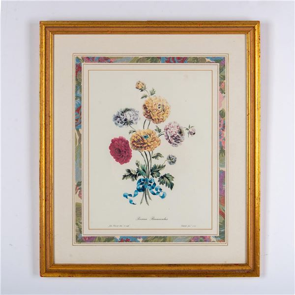 John Edwards (Aft.) Lithograph on Paper, Persian Ranunculus