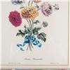Image 3 : John Edwards (Aft.) Lithograph on Paper, Persian Ranunculus