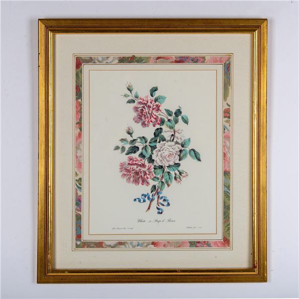 John Edwards (Aft.) Lithograph, White and Striped Roses